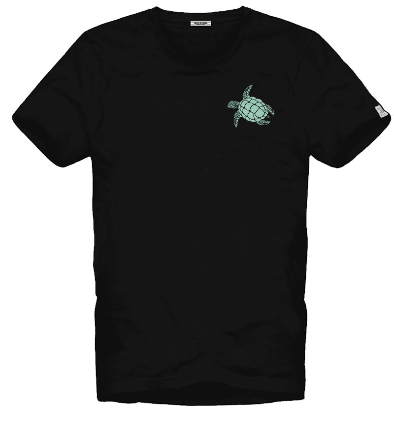 Giglio Tartaruga nero