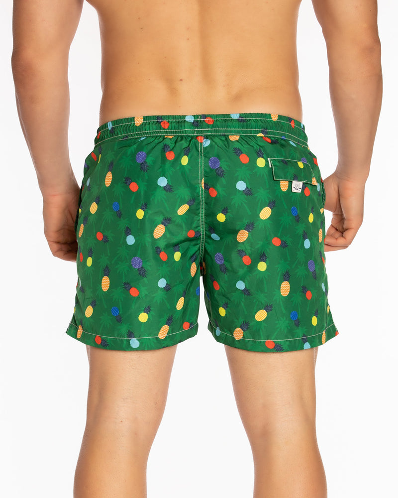 Paraggi Ananas 4