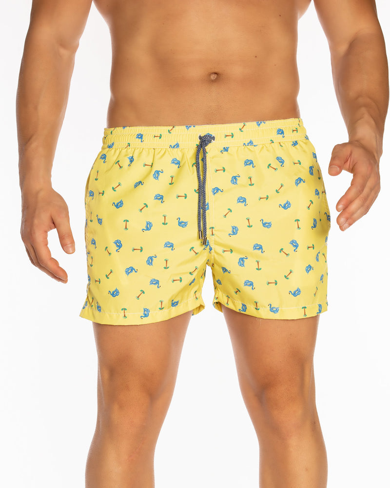 Paraggi FL5 Boxer