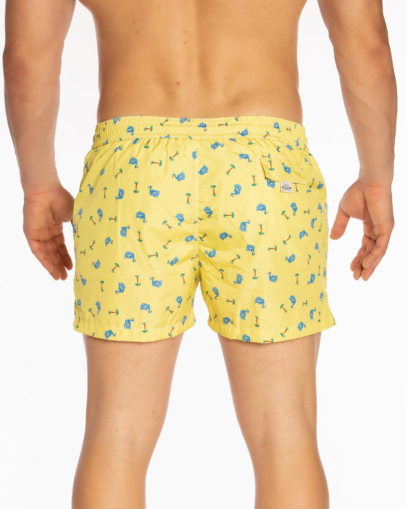 Paraggi FL5 Boxer