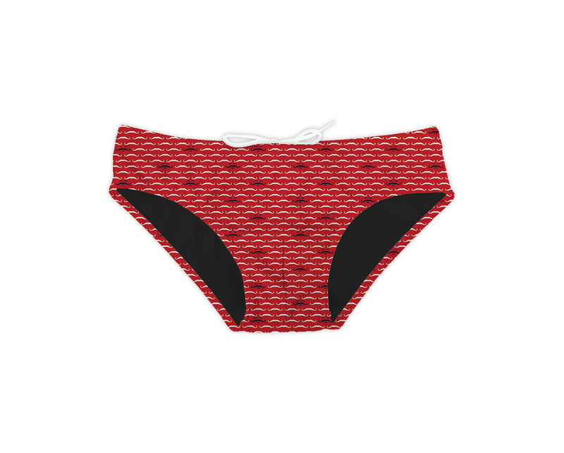 Chiaia briefs MS3