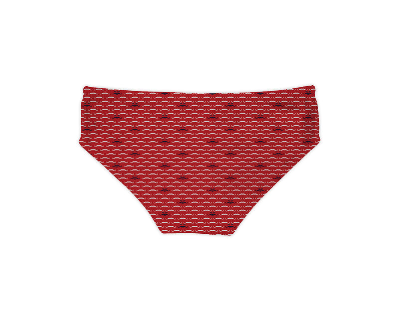Chiaia briefs MS3