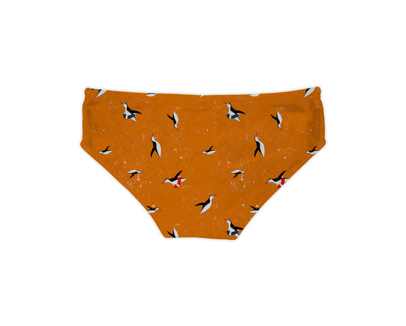 Chiaia briefs PN4