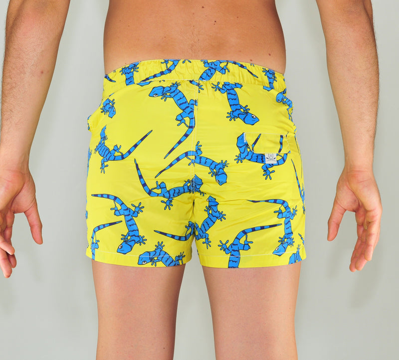 Posillipo D6 boxer