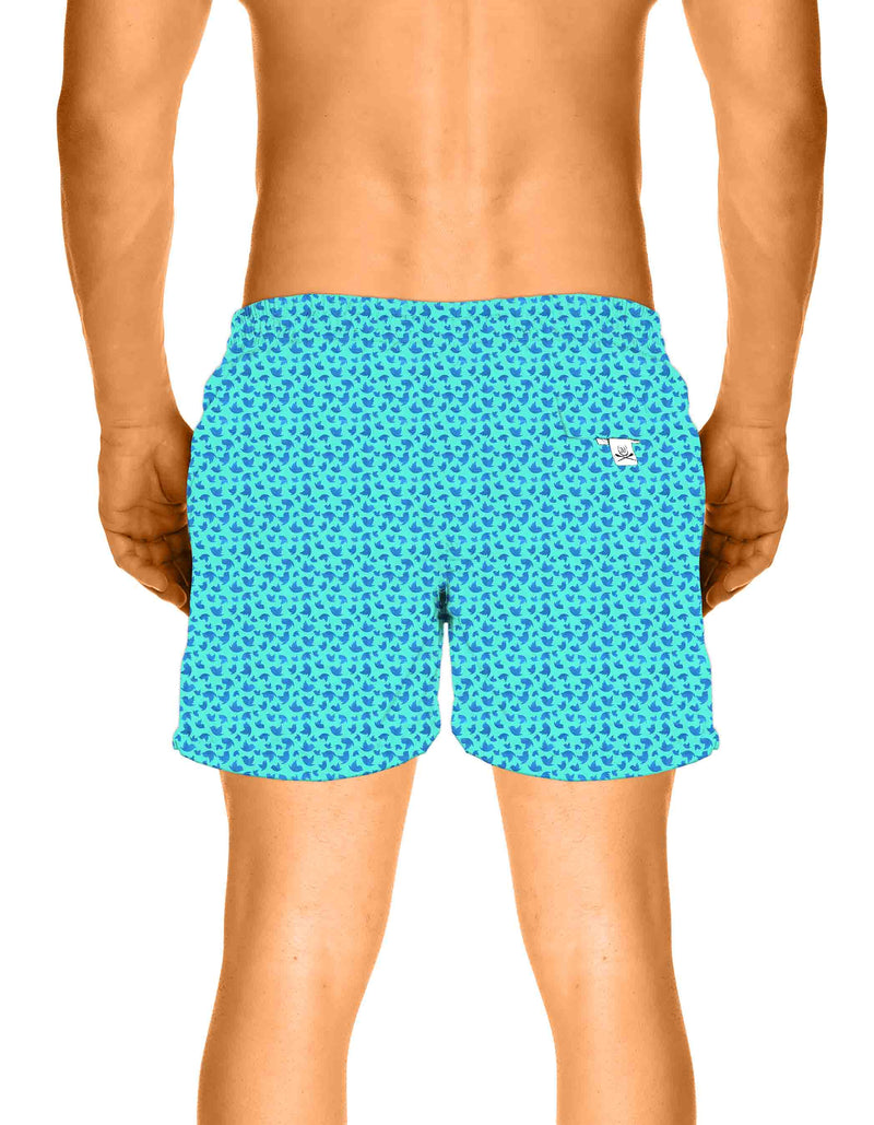 Capri SK1 boxer